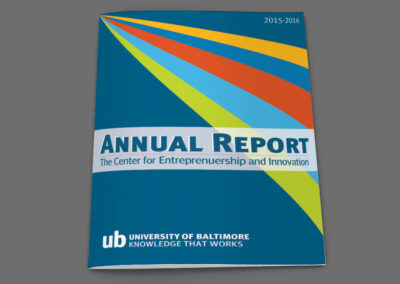 CEI Annual Report